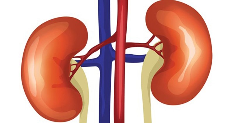 Renal replacement therapies for patient with end-stage renal disease
